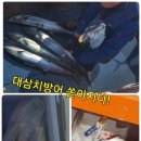뉴대양호