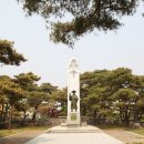 신리할머니 Daum카페