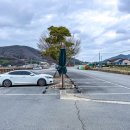 월포해수욕장야영장 이미지