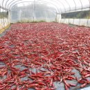 하누리 농장 이미지