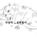 토담생고기 네이버블로그