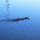 사진예술 이미지