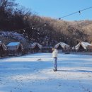 함께마켓 | 여주 반려동물 동반 바비큐 식당 추천｜야외에서 강아지와 함께 즐기는 산오마켓 후기
