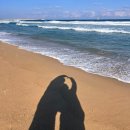 플레이파이 스튜디오 | [삼척] 삼척 쏠비치 패밀리 트윈(파셜오션뷰) 호캉스 리뷰(+조식 리뷰)