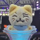 (주)리얼시큐 | 단.돈 5천냥에 무대코앞티켓을 얻은 러키비키 2025 메가콘서트 후기 ...(사랑해요메가)