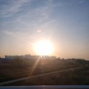 원조 화심두부 네이버블로그