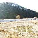 연세중앙공인중개사사무소 이미지