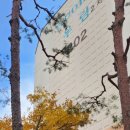 ♤유천냉면 직화쭈꾸미 용궁♤