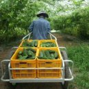 여주-0749 이미지