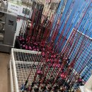 만석부두 바다쉼터 | [남항유어선부두] / 인천 쭈꾸미 낚시 후기 / 10월 말토요일 오전 배 예약 후기/ 준비물 덕적바다낚시