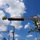 주정차72 이미지