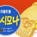 다마바(DaMaBA) 이미지