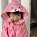 신성중,고등학교 | [오수완] 접영 특강 신청해서 다녀왔어요.