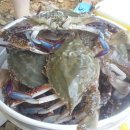 하경농장 이미지