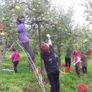 효성1동 이미지