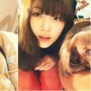 설리헤어