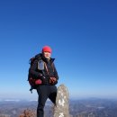 동심으로의 회귀 이미지