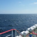 델타모터스 이미지