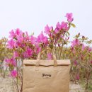 야미(YUMMY) 이미지