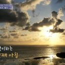 핑크유빈