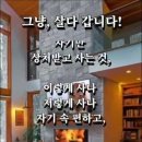 오늘도, 봄