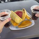 핸섬가이 | [보홀] 보홀현지 pick 핸섬가이와 4박5일 우당탕탕 보홀여행