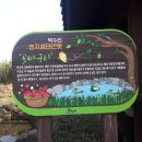 덕수리-4 이미지