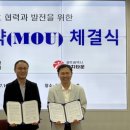 김치타운 이미지