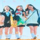 아미바오 이미지