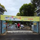큰꿈작은도서관 | 제주 어린이날 행사 3곳 참여 후기｜안전체험관·마법미술관·꿈바당도서관 체험 기록