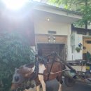 따봉5주유소 | [여행일상]자카르타-길리 가는법,펠리타에어 후기, 여자 혼자 길리 여행기