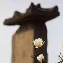 꽃내음마당공원 앞 이미지