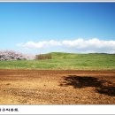 삼화목장 Daum카페