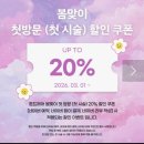 사라헤어 | 강동구 강일동 미용실 톤드헤어 젤리펌 사라실장님께 받은 갓성비 후기 가격표/할인팁 포함