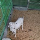 산너머그집 이미지