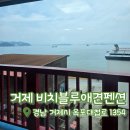 사랑애견펜션 | [거제 비치블루애견펜션] 거제도애견동반펜션 302호 솔직 방문 후기 🐾