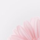 네일정원 이미지