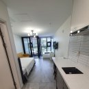 니시스파펜션 이미지