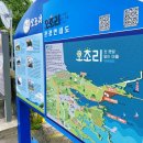 제주시 하도어촌계 | 임신27주차 / 6월 제주도 태교여행 3일차 일정