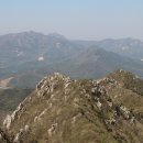 땅끝 남도의 향기 이미지