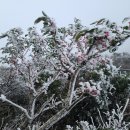 한라산중기