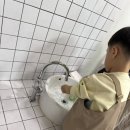 더초록