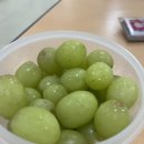 프레드피자동작점