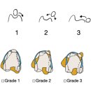 리움 동물의료센터 이미지