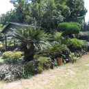 회수동-2 이미지