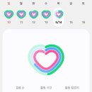 프리워킹~잘하고계신가요??~^^🚶🚶‍♀️🚶‍♂️ 이미지