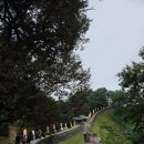 공주노인회관 | [공주 카페]공산성 산책 후 제민천 고즈넉한 카페 소솜 후기(주차, 메뉴추천)