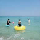 구룡포6리 간이해수욕장 화장실(아라펜션 앞) | 포항 취사가능한 구룡포 간이 해수욕장(해파리유무)