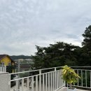 숲결2