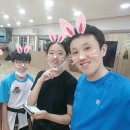 용인대현대태권도 이미지